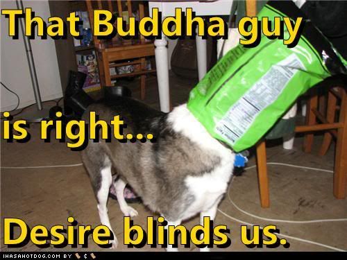  photo funny-dog-pictures-that-buddha-guy-is-right-desire-blinds-us.jpg