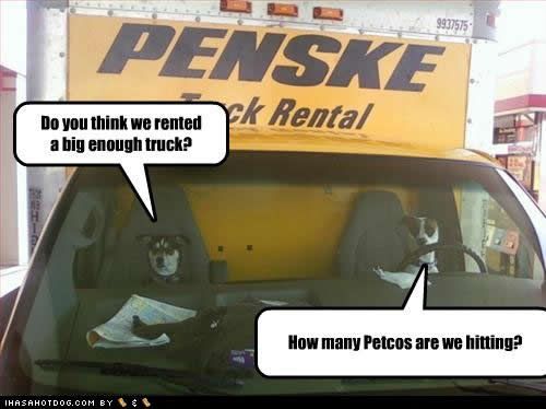  photo funny-dog-pictures-truck-petcos.jpg