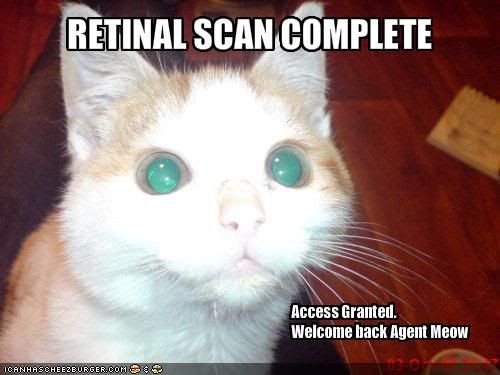  photo funny-pictures-agent-cat-undergoes-.jpg