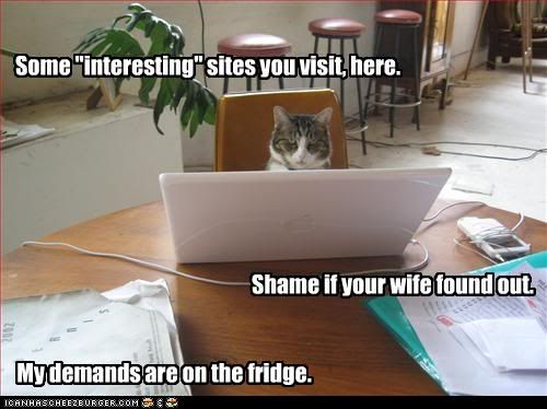  photo funny-pictures-cat-blackmails-you.jpg
