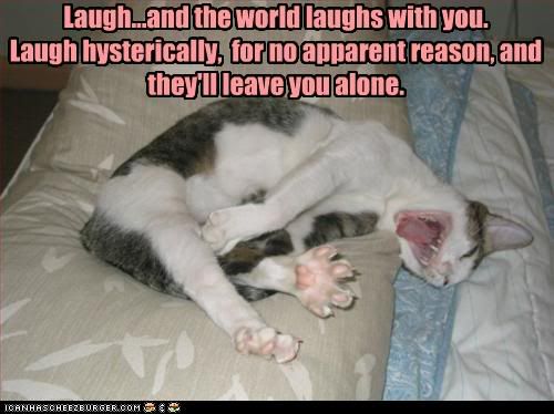  photo funny-pictures-cat-laughs-hysterica.jpg