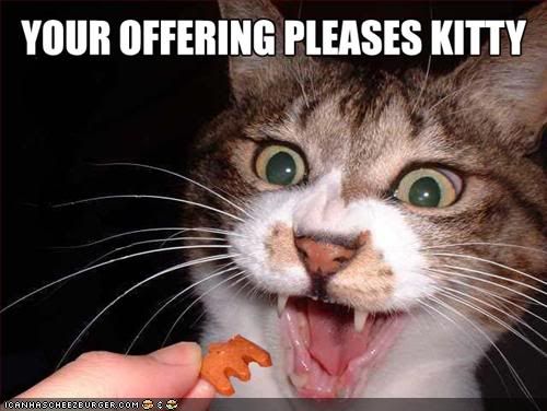  photo funny-pictures-cat-likes-offering.jpg
