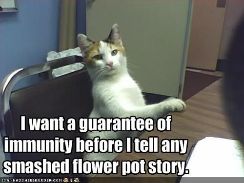  photo funny-pictures-cat-wants-immunity-b.jpg