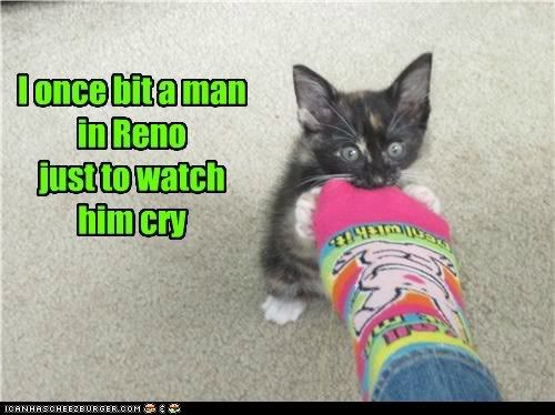  photo funny-pictures-kitteh-cash.jpg