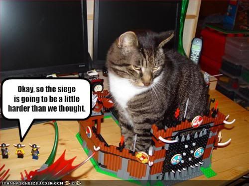  photo funny-pictures-legos-try-to-lay-siege-on-the-cat.jpg