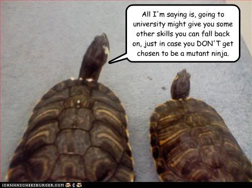  photo funny-pictures-turtle-wants-to-be-a.jpg