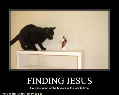  photo funny-pictures-your-cat-has-found-j.jpg