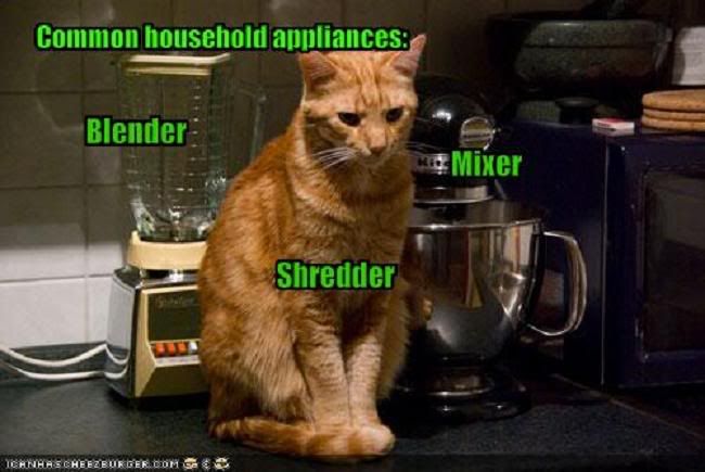  photo funny-pictures-your-cat-is-a-househ.jpg