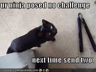  photo funny-pictures-your-ninja-posed-no-.jpg