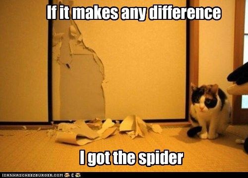  photo spider_zpsd36c9bde.jpg