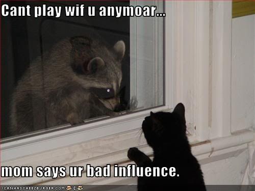  photo funny-pictures-cat-cannot-play-with_zpsbnwhulkx.jpg