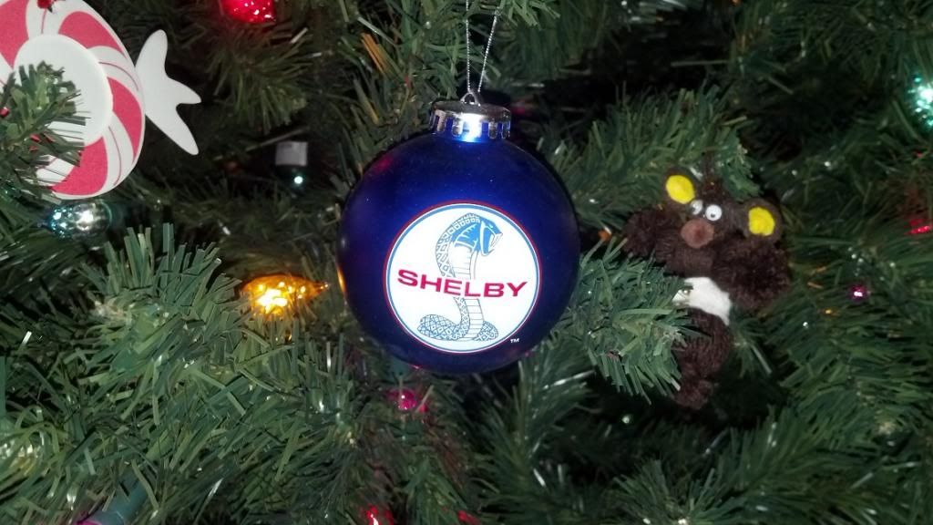 ShelbyChristmas_zps35fa316f.jpg