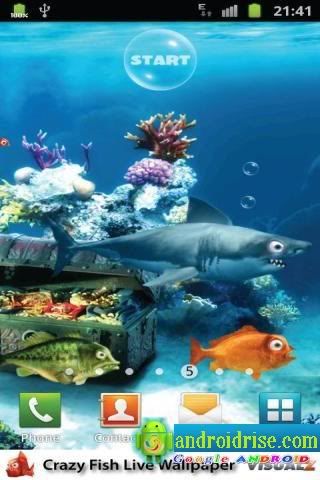Android Backgrounds on Fish Android Live Wallpaper Download Free Android Live Wallpaper