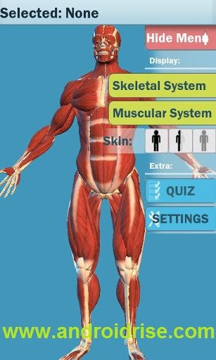 Easy Anatomy 3D Android App Download.fully