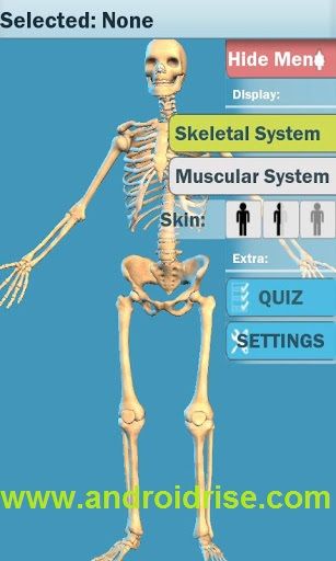 Easy Anatomy 3D Android App Download.fully 3D App.