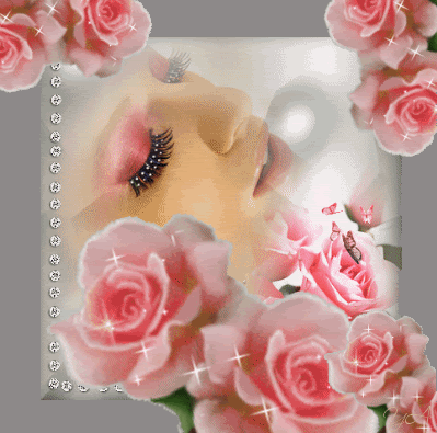 photo 28-1rose12.gif