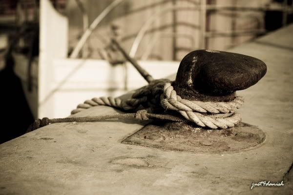 It doesn't matter how big you are !!! It doesn't matter how big you are !!!