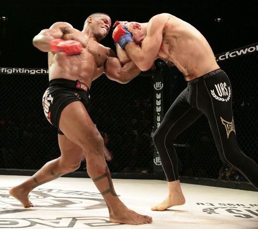 Hector Lombard (File Photo)
