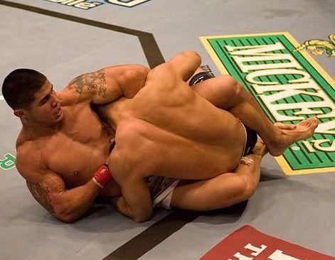 Joe Stevenson (Zuffa)