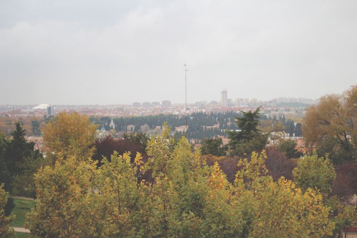 Autumn picture My Showroom, Priscila Betancort, Carlos Toun, Madrid, Autumn colors, Autumn in Madrid