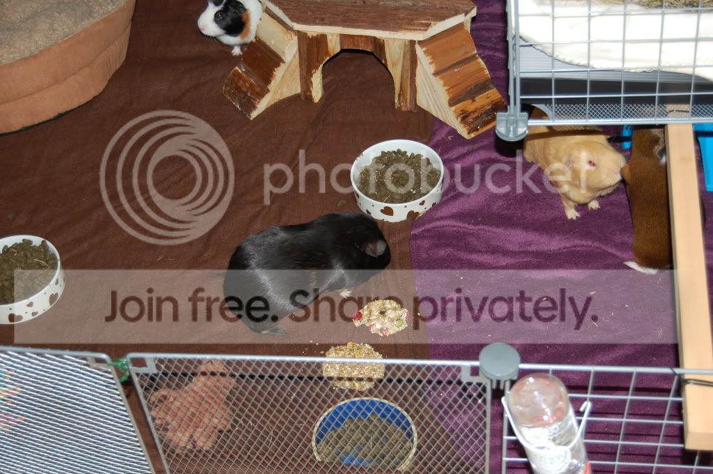 DSC_1664.jpg