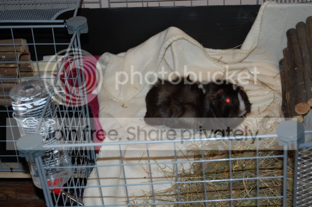 DSC_1667.jpg