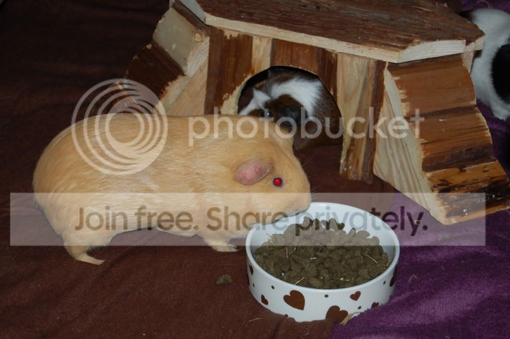 DSC_1668.jpg