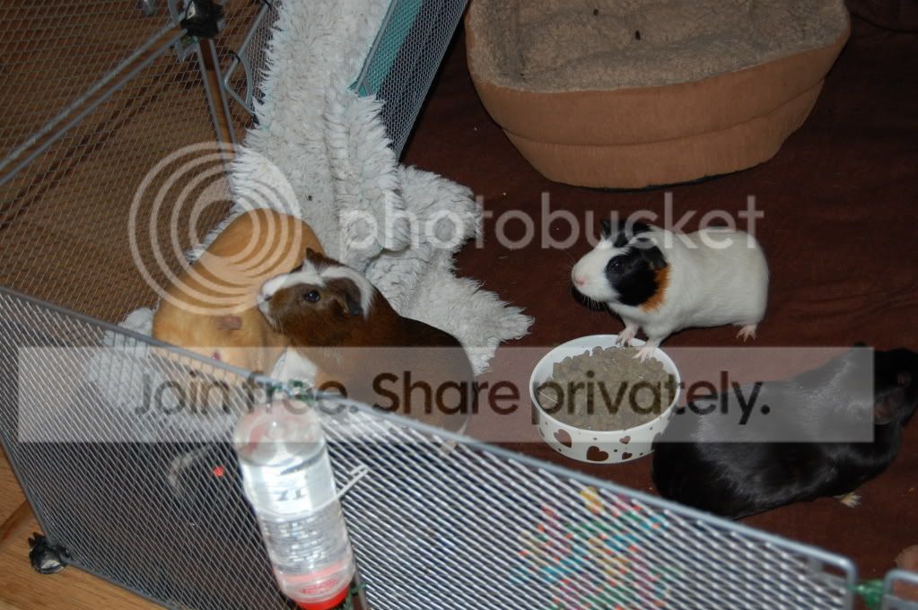DSC_1687.jpg