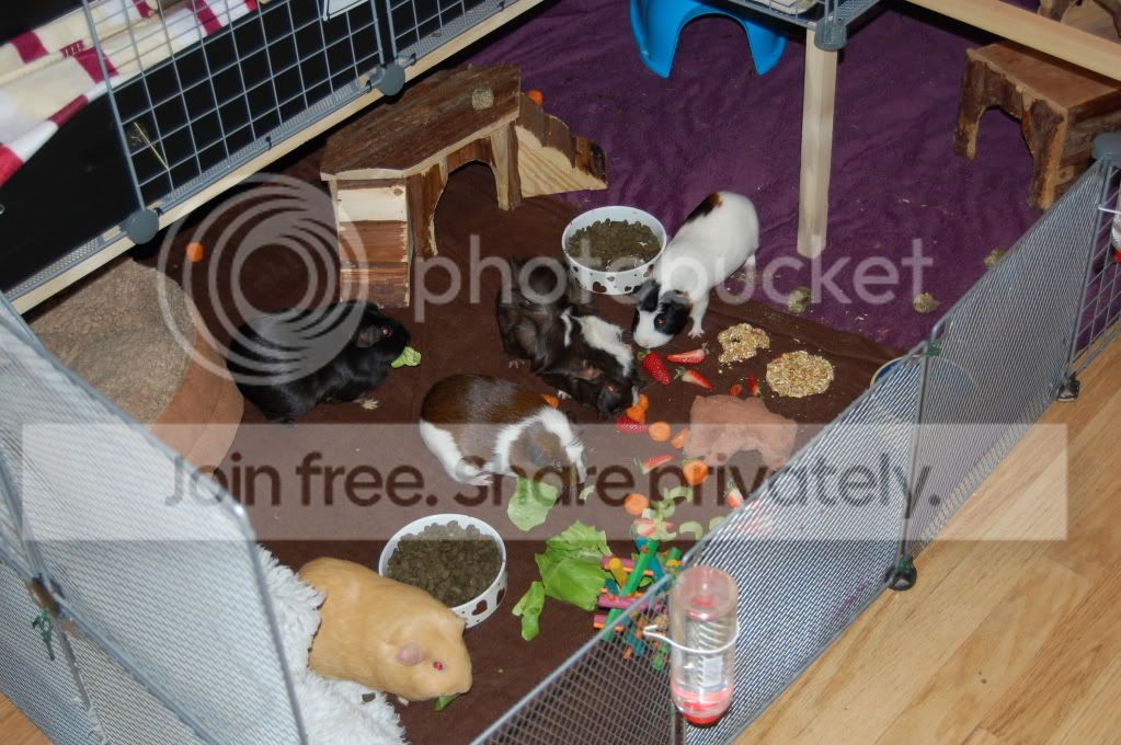 DSC_1691.jpg