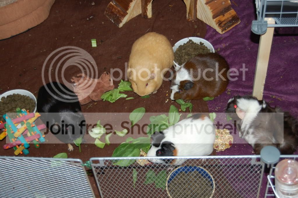 DSC_1695.jpg