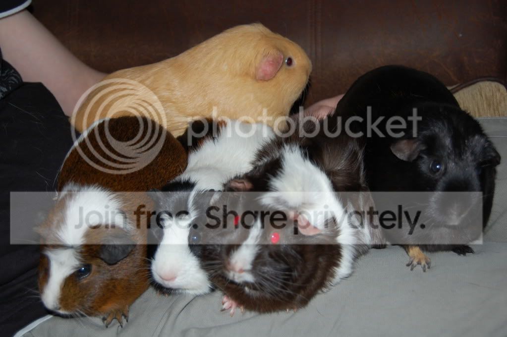 DSC_1697.jpg