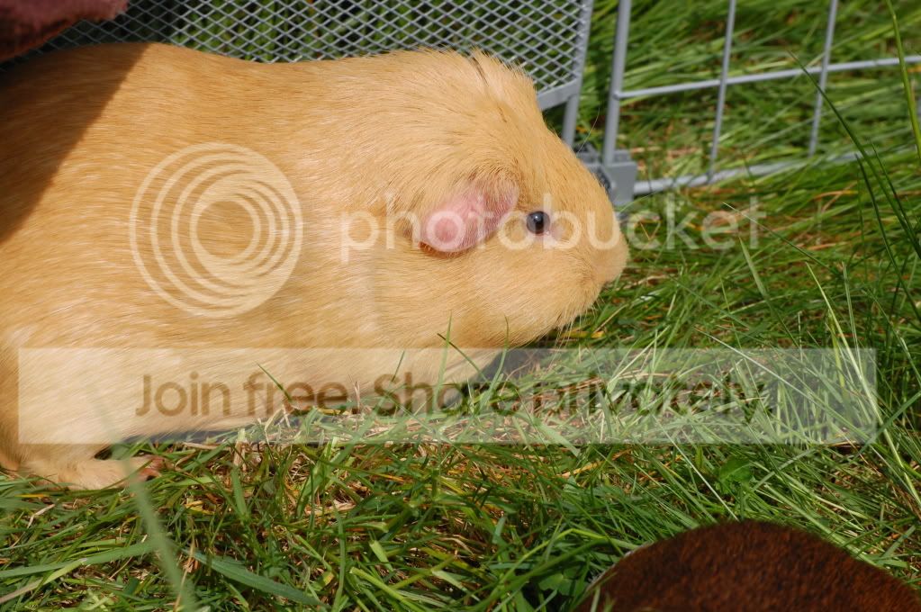 DSC_1712.jpg
