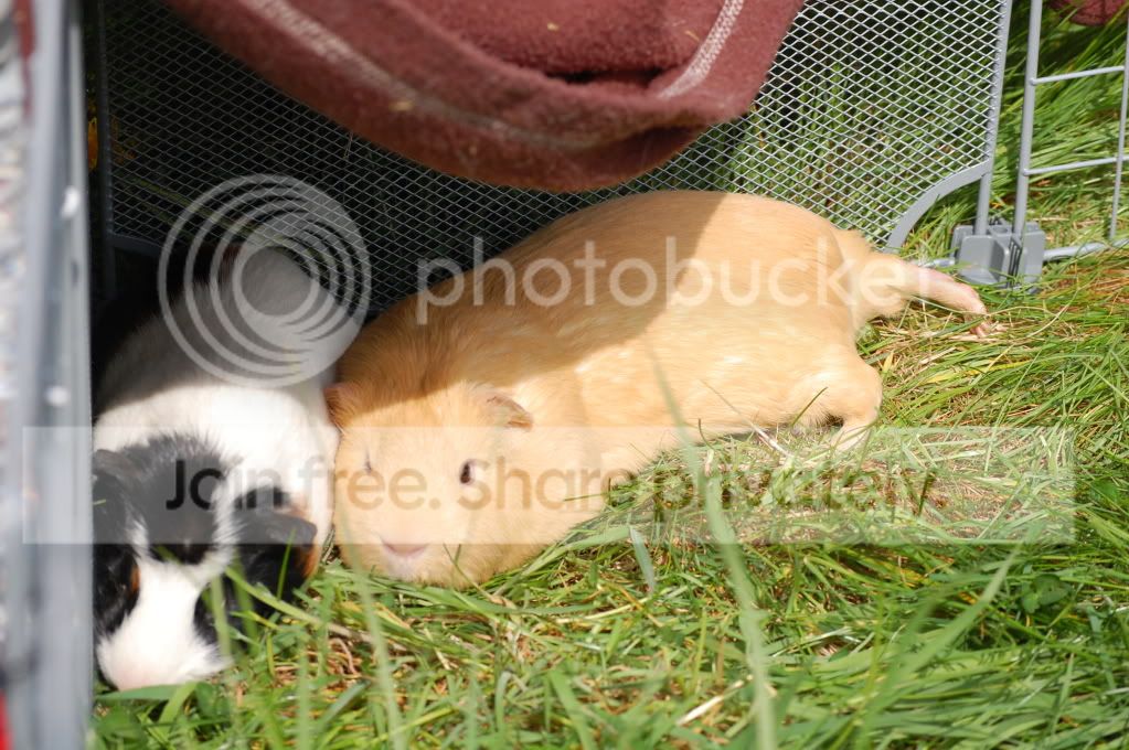 DSC_1721.jpg