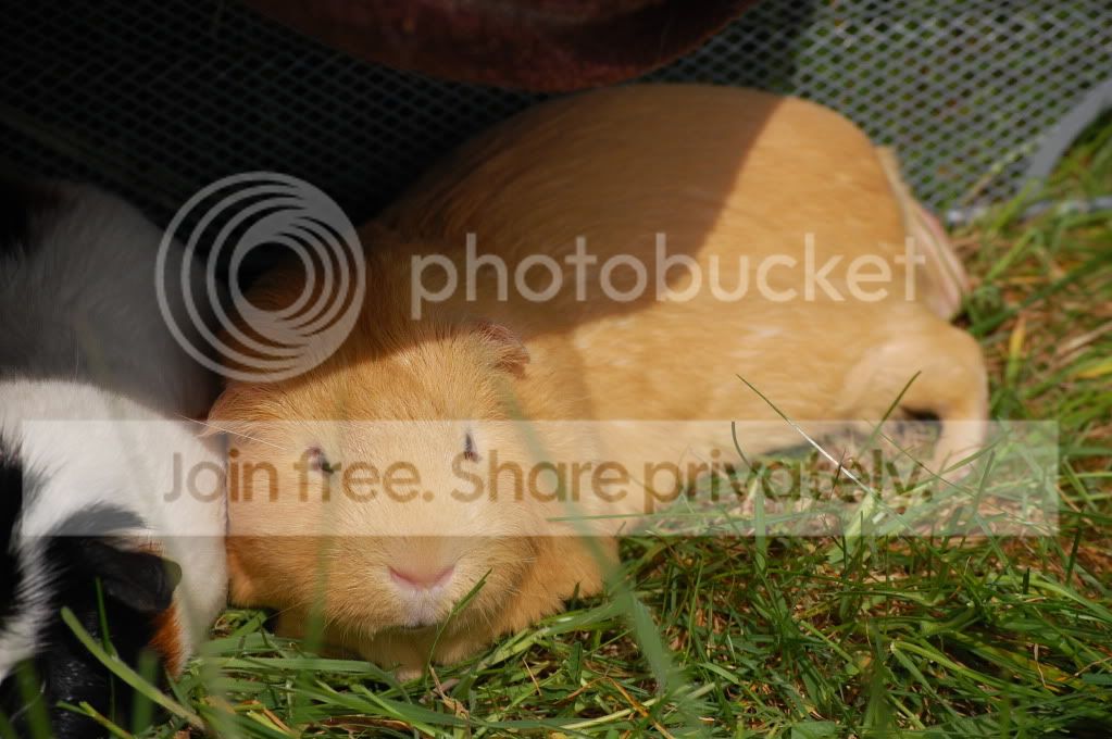 DSC_1722.jpg