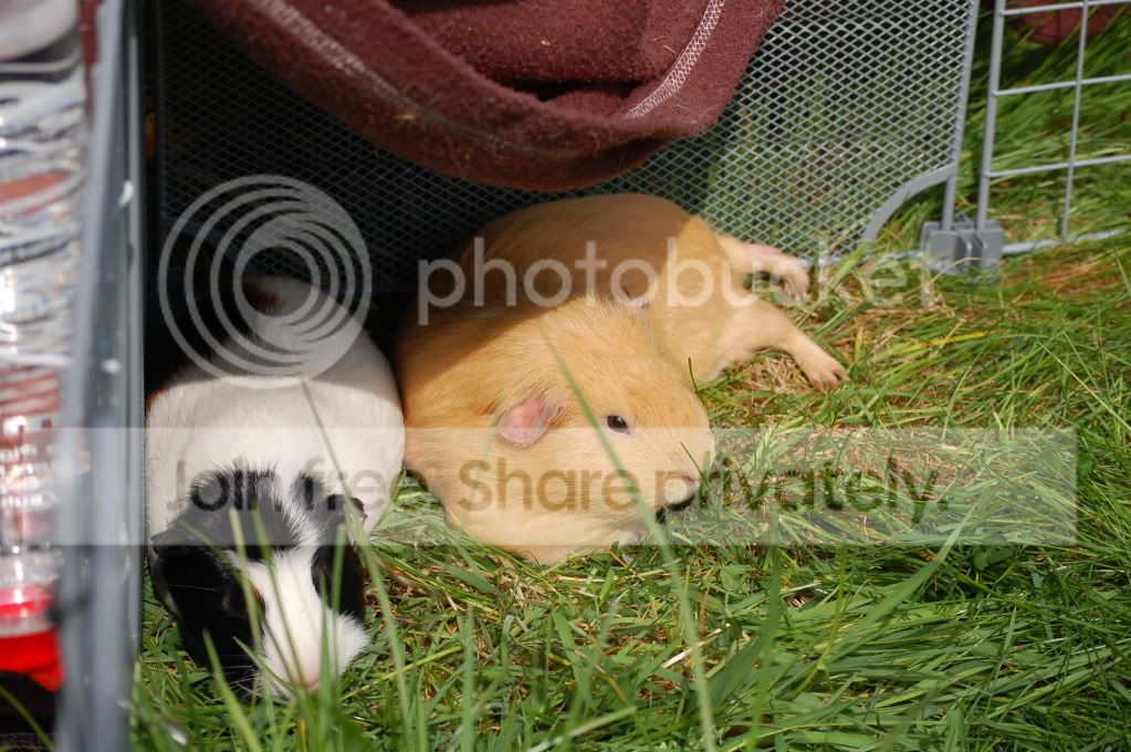 DSC_1724.jpg