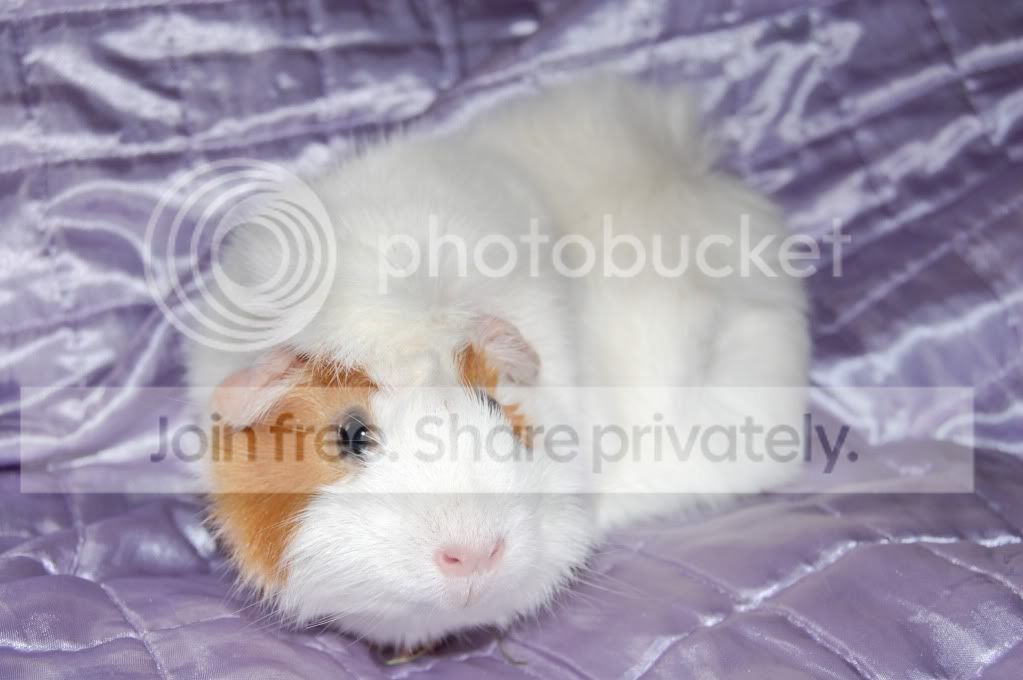 DSC_2705.jpg