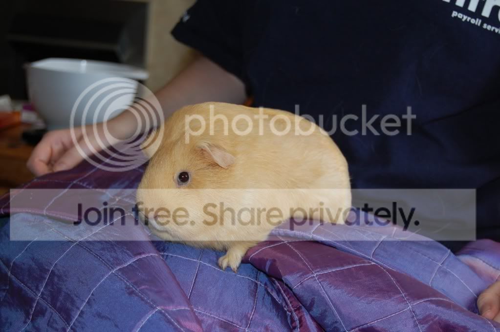 DSC_2752.jpg