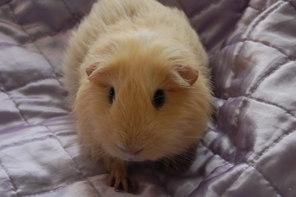 DSC_2767.jpg