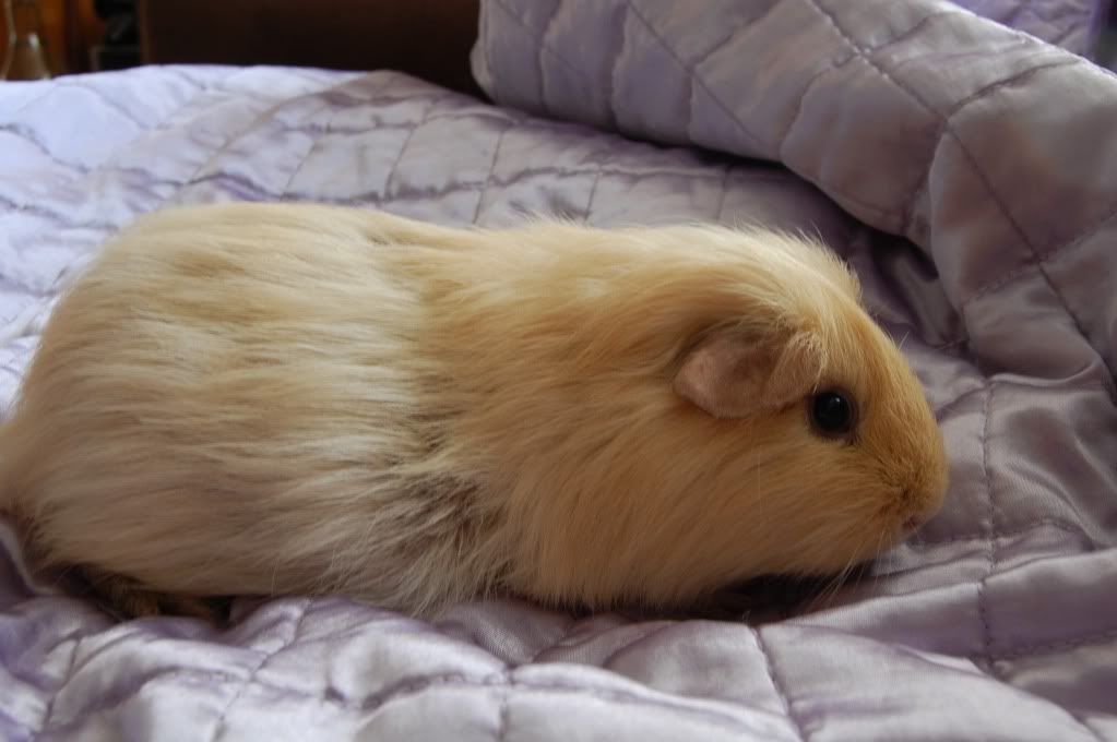 DSC_2769.jpg