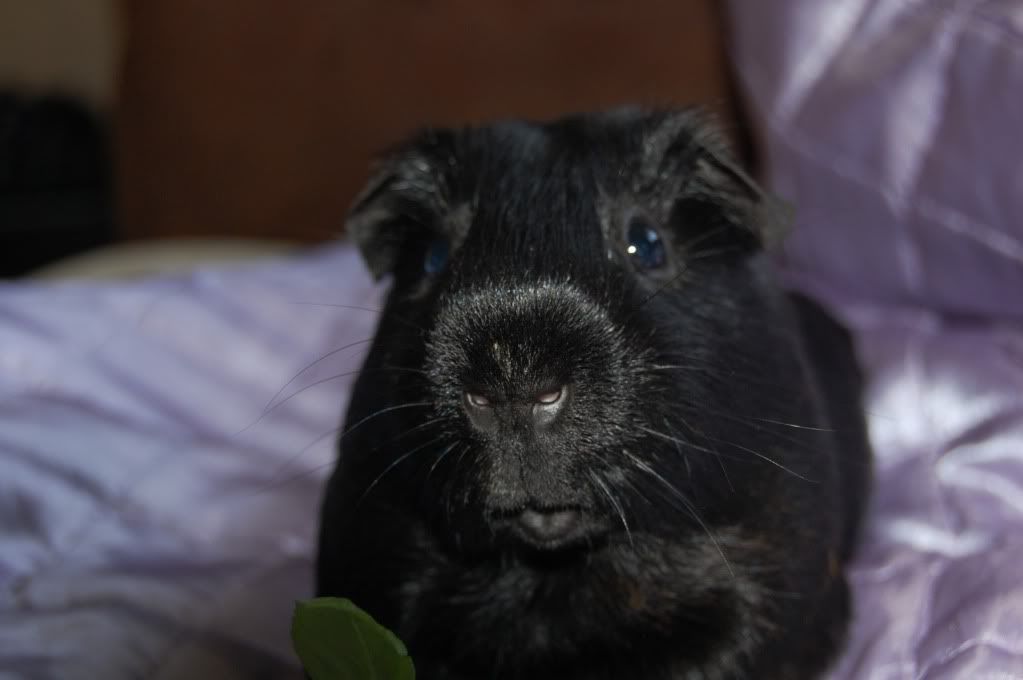 DSC_2815.jpg