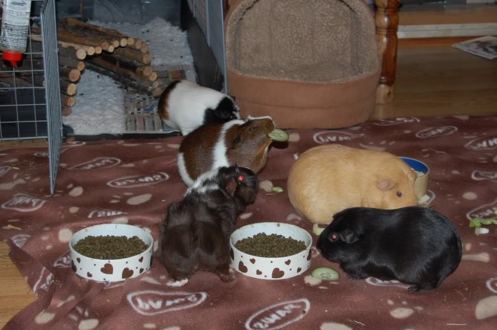 DSC_2838.jpg