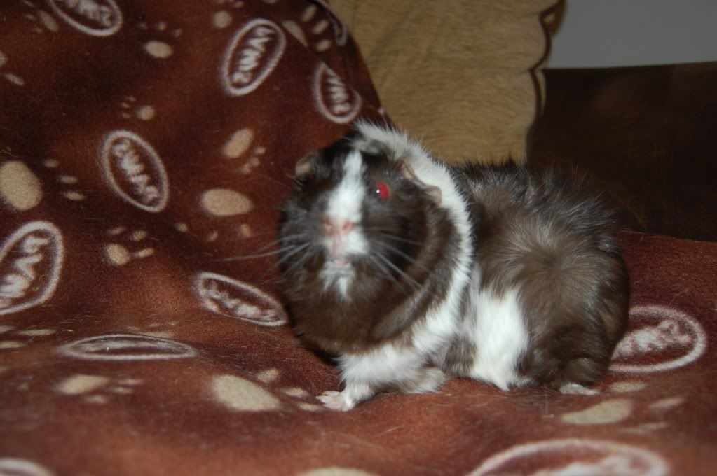 DSC_2871.jpg