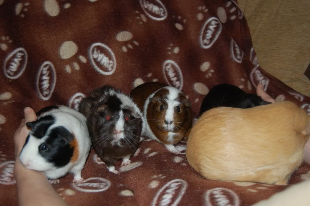DSC_2876.jpg