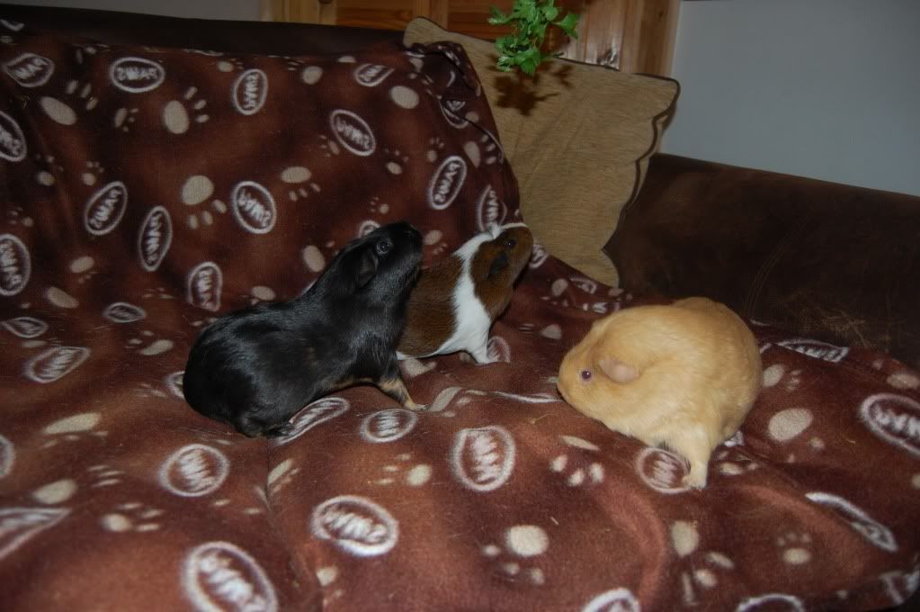 DSC_2881.jpg
