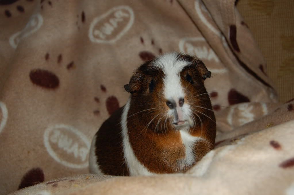 DSC_3571.jpg