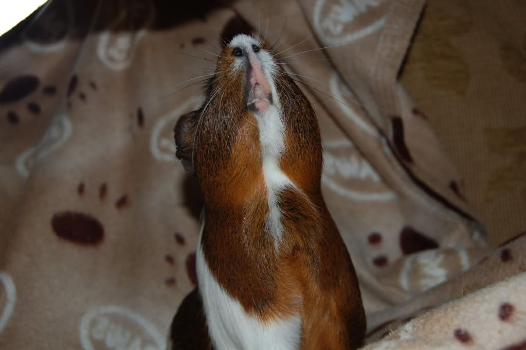 DSC_3573.jpg