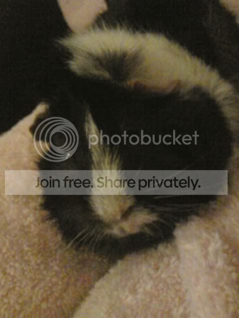 Photo089.jpg