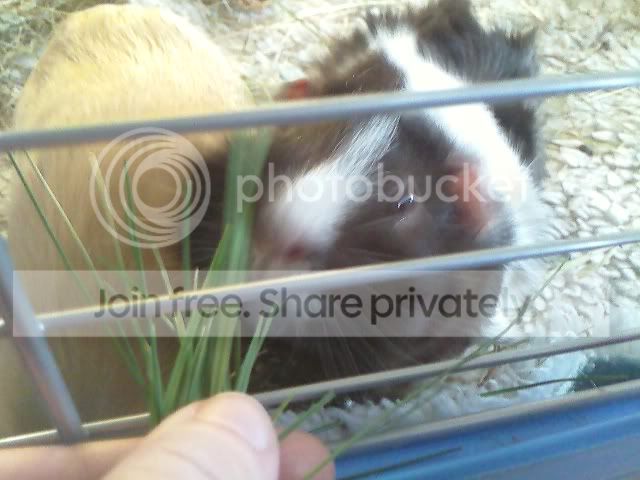 Photo103.jpg
