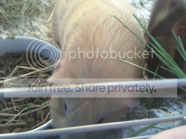 Photo105.jpg
