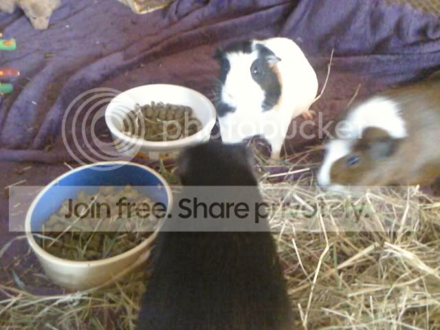 Photo107.jpg